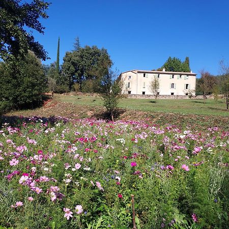 Les Jardins De Falguiere Saint-Jean-du-Gard Luaran gambar