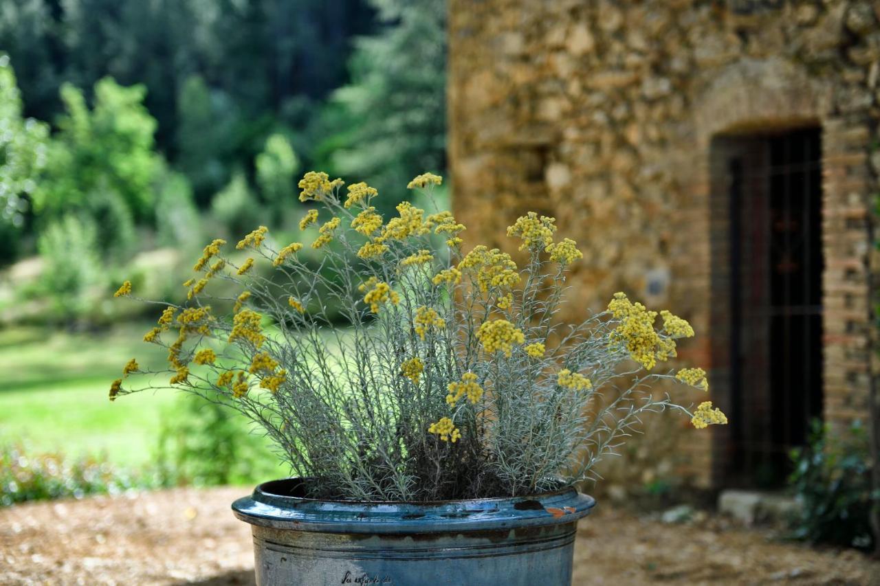 Les Jardins De Falguiere Saint-Jean-du-Gard Luaran gambar