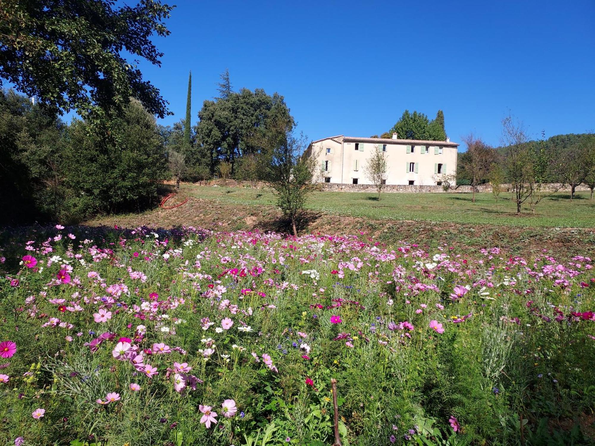 Les Jardins De Falguiere Saint-Jean-du-Gard Luaran gambar