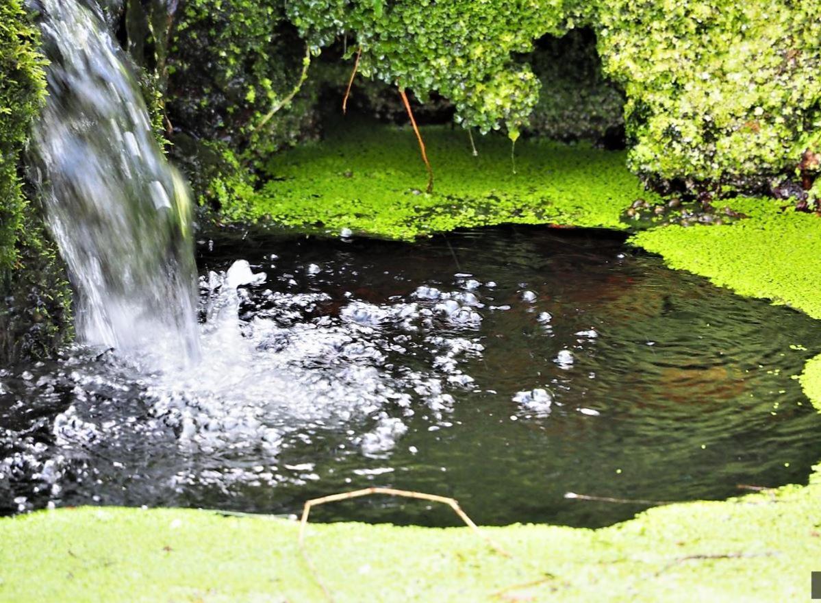 Les Jardins De Falguiere Saint-Jean-du-Gard Luaran gambar